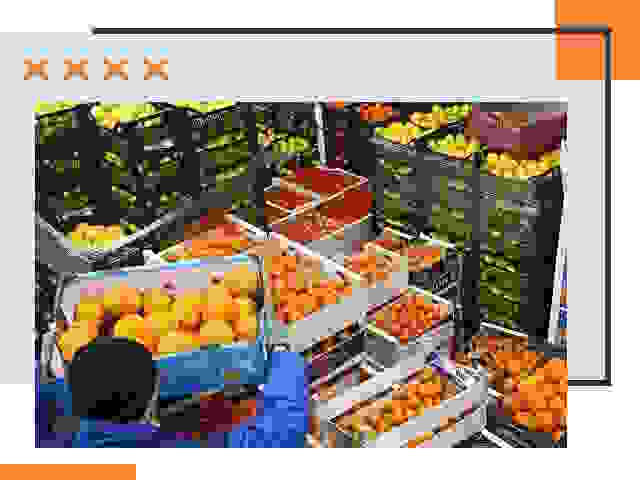 Перевозка скоропортящихся продуктов в юбилейном